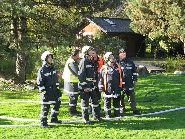 bild (4)